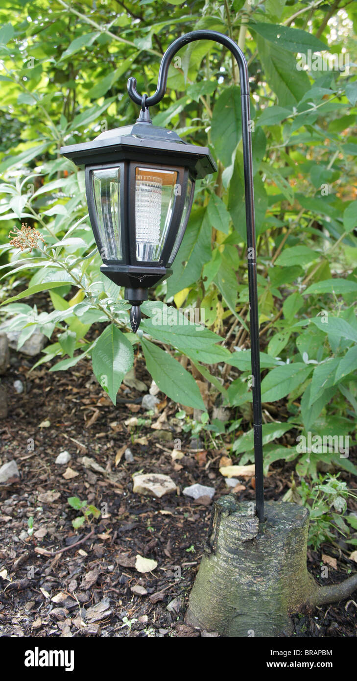Small solar lighting in the garden Stock Photo