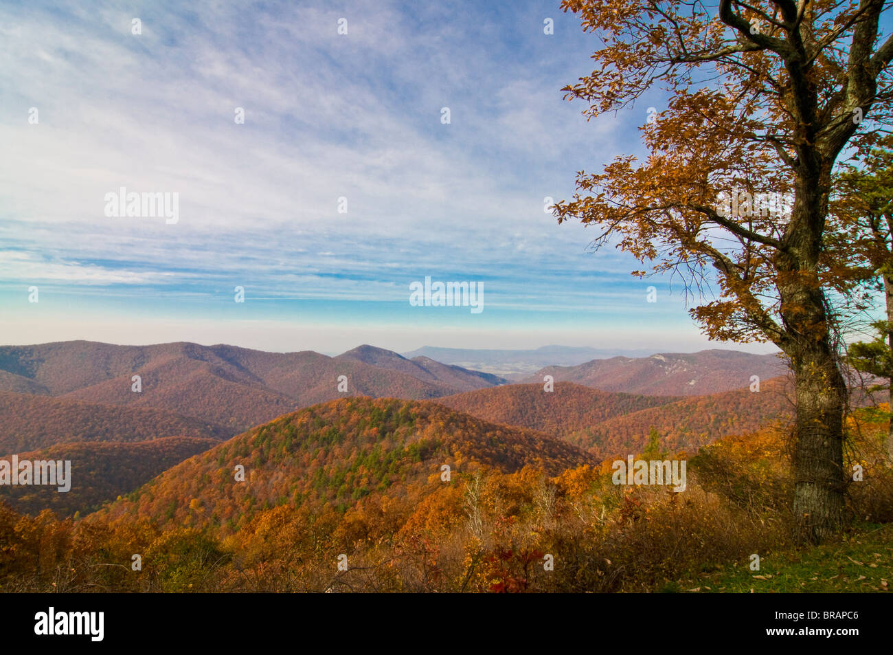 View over the Shenandoah National Park with beautiful foliage in the Indian summer, Virginia, United States of America Stock Photo
