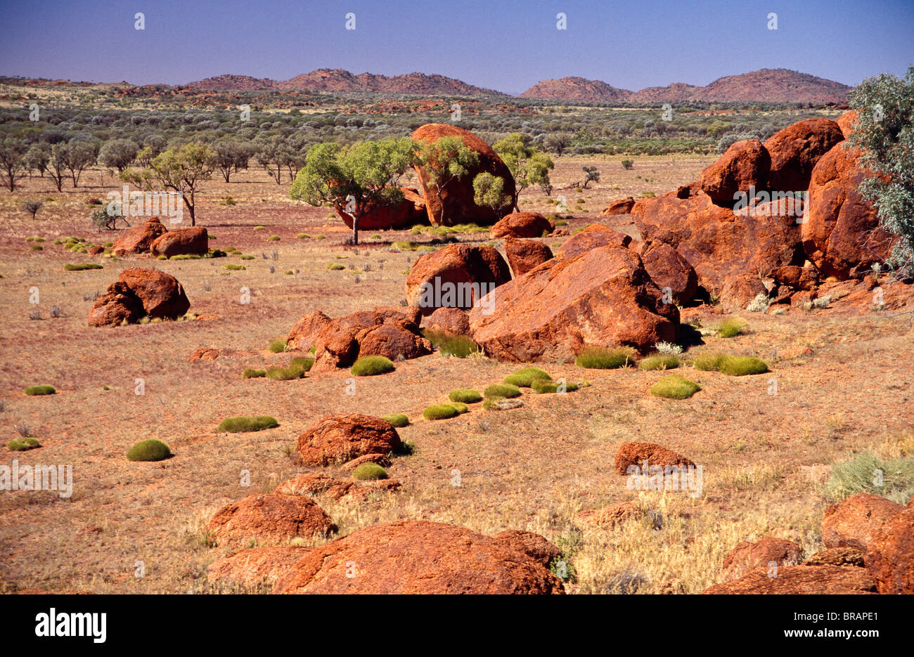 sandstone boulders and mulga plants, South Australia Stock Photo