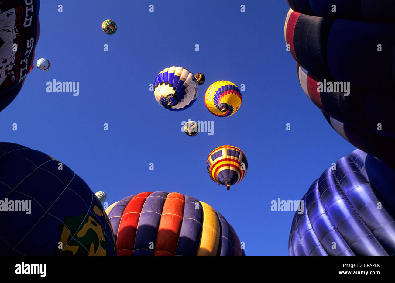 Colorful abstract of hot air balloons Albuquerque New Mexico at the largest balloon festival called Paint The Sky Stock Photo