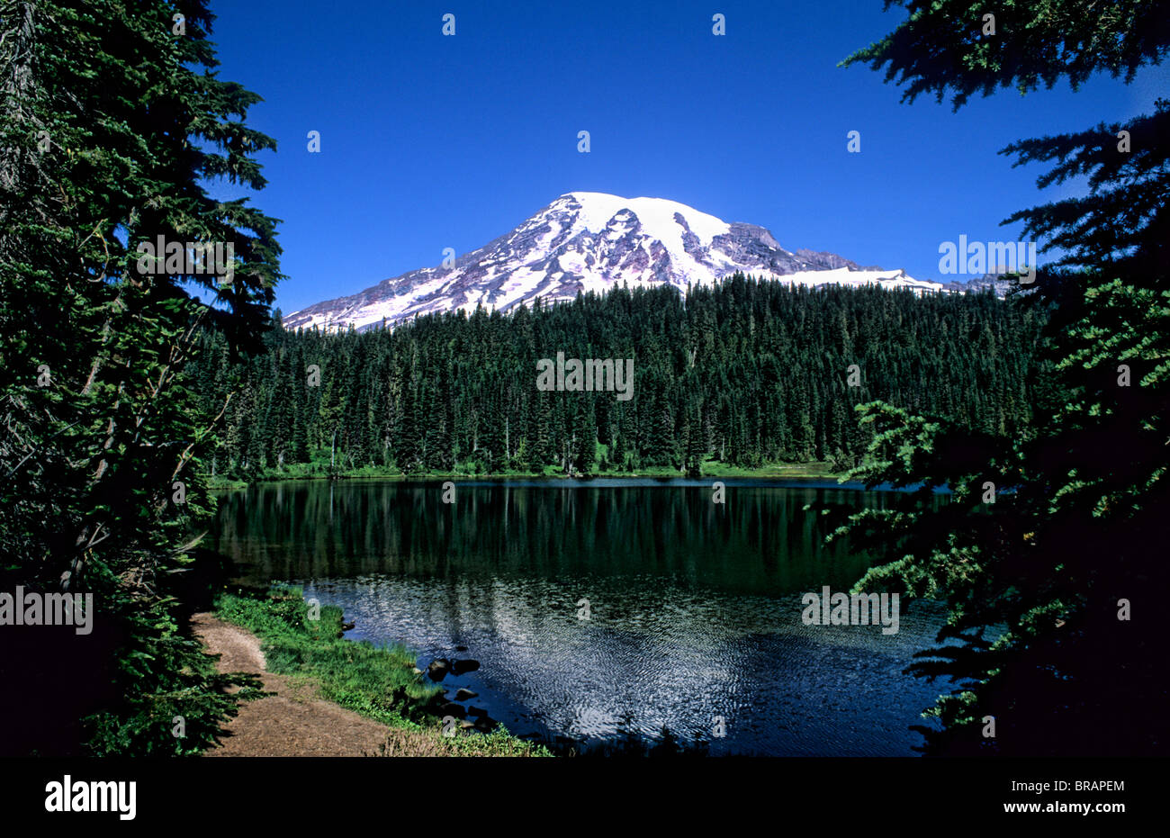 Beautiful Mt Rainier with snow caps in the Pacific Northwest below the ...