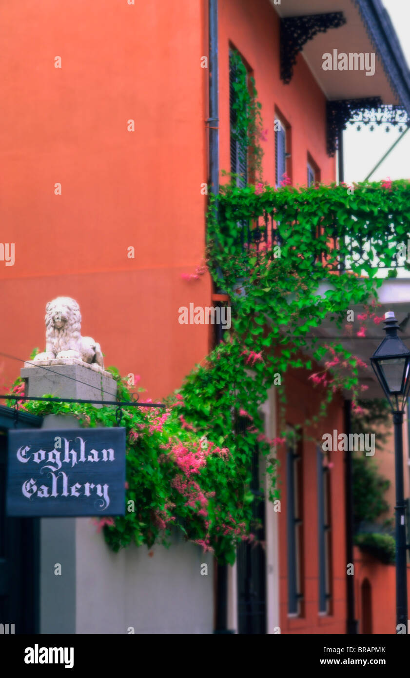 Gallery and art in the street in the French Quarter in wonderful city