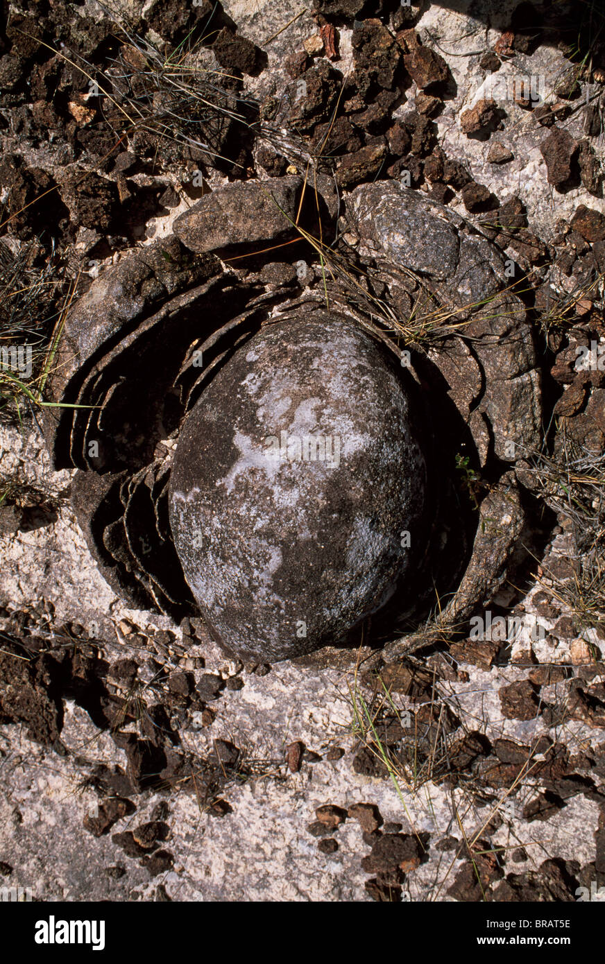 Eroded granite near Mount Roraima, Gran Sabana, Estado Bolivar, Venezuela, South America Stock Photo