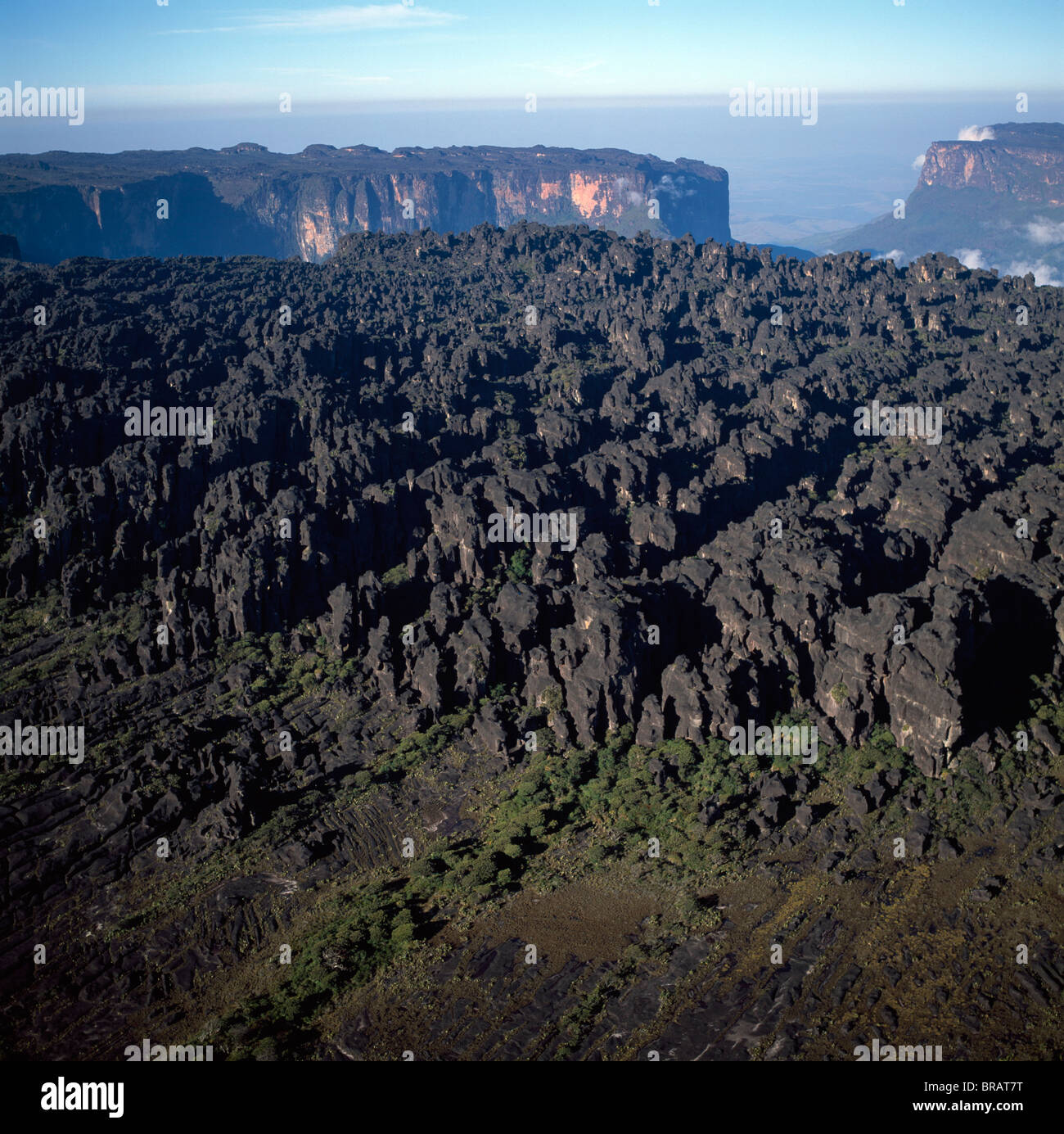 Aerial image of tepuis showing the summit of Mount Roraima (Cerro ...