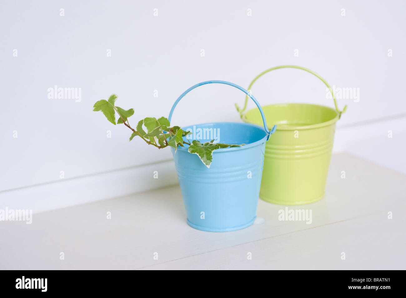 Ivy Bloom Holiday Bucket main image 1