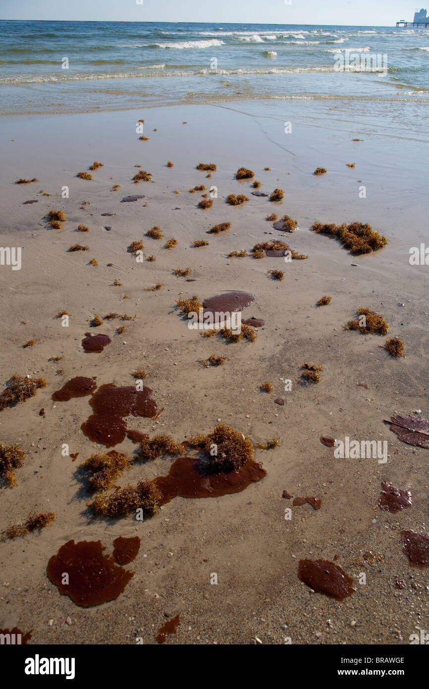 Oil from the Deepwater Horizon spill comes ashore of Orange Beach, Alabama. Stock Photo