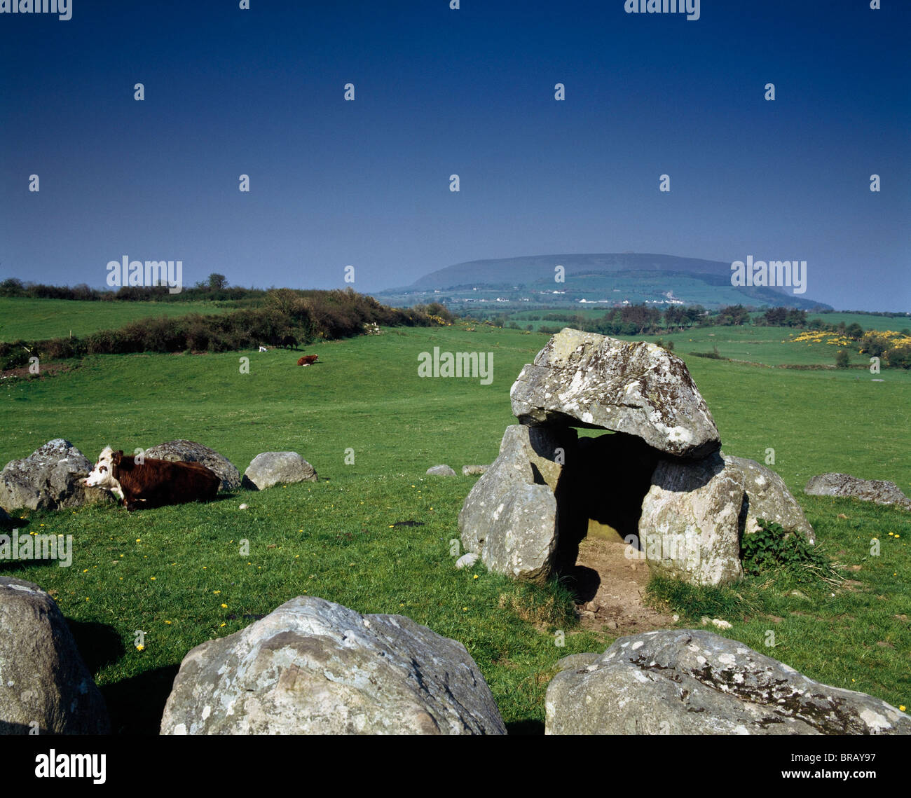 Megalithic Tomb And Stone Circle Stock Photo