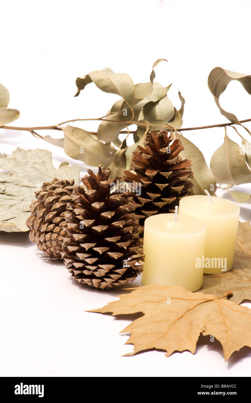 Still life of dried leaves, pine cones and candles Stock Photo