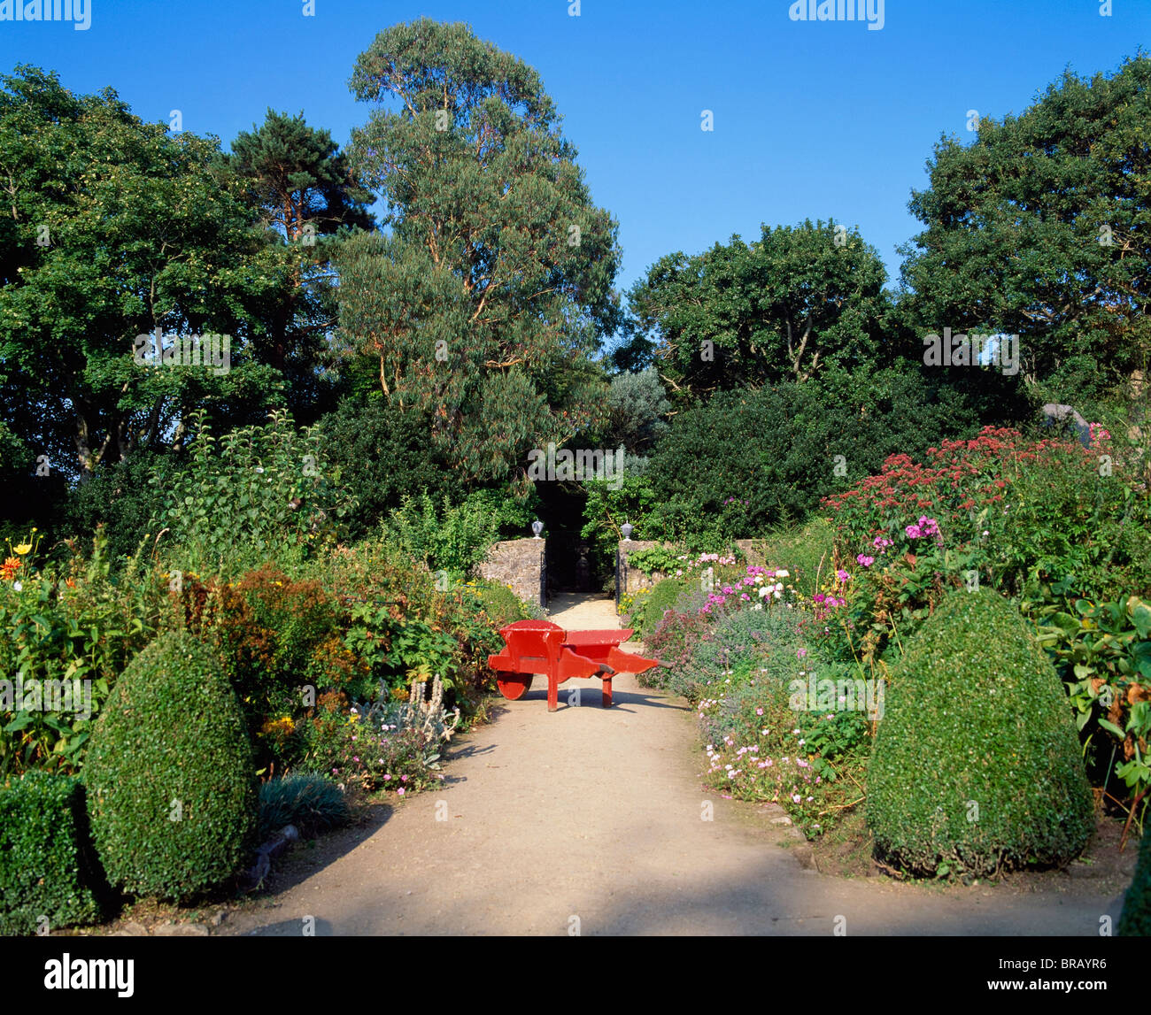 Red Wheelbarrow Sitting On A Garden Path Stock Photo