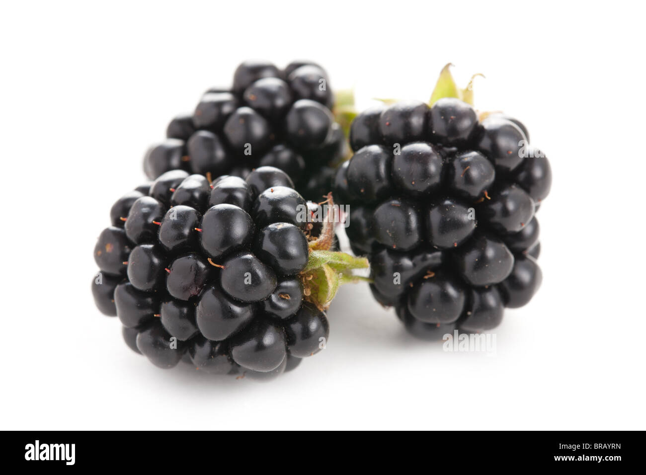 photo shot of blackberries on white background Stock Photo
