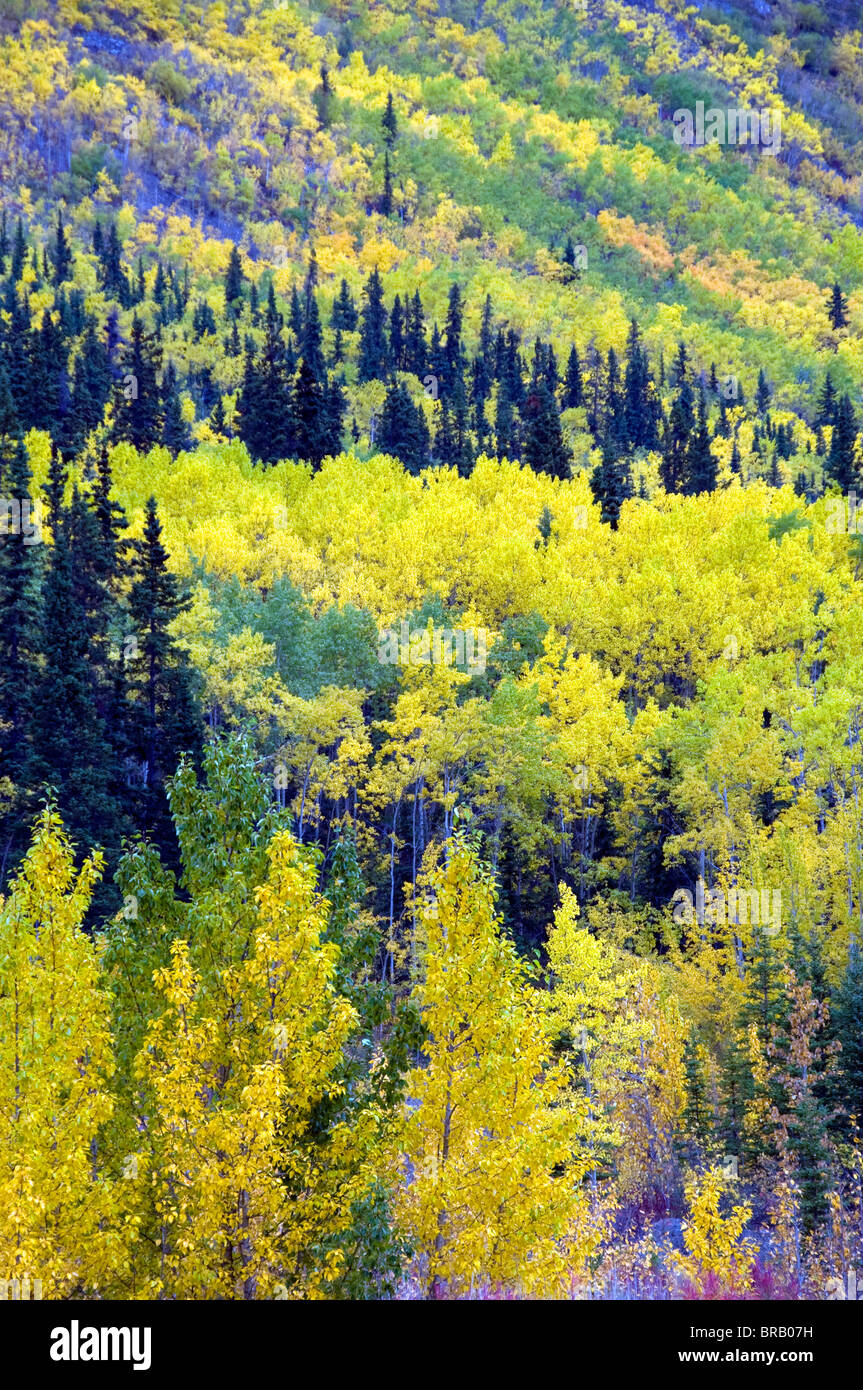 muskwa kechika northern rockies wilderness-northernmost reach of rocky ...