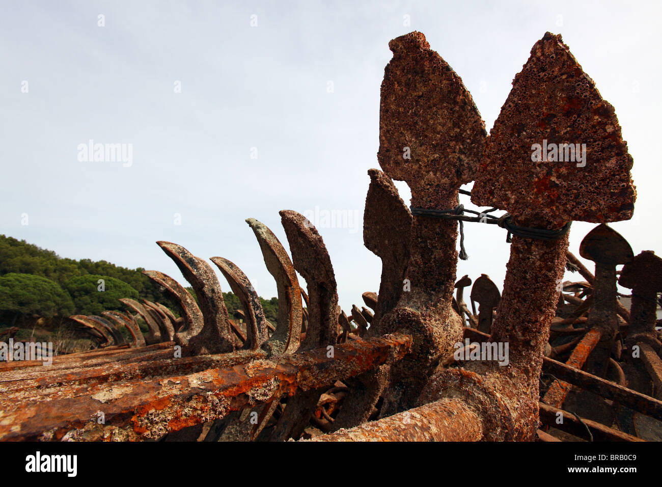 Rusty anchors covered with barnacles,Andalusia,Spain Stock Photo Alamy