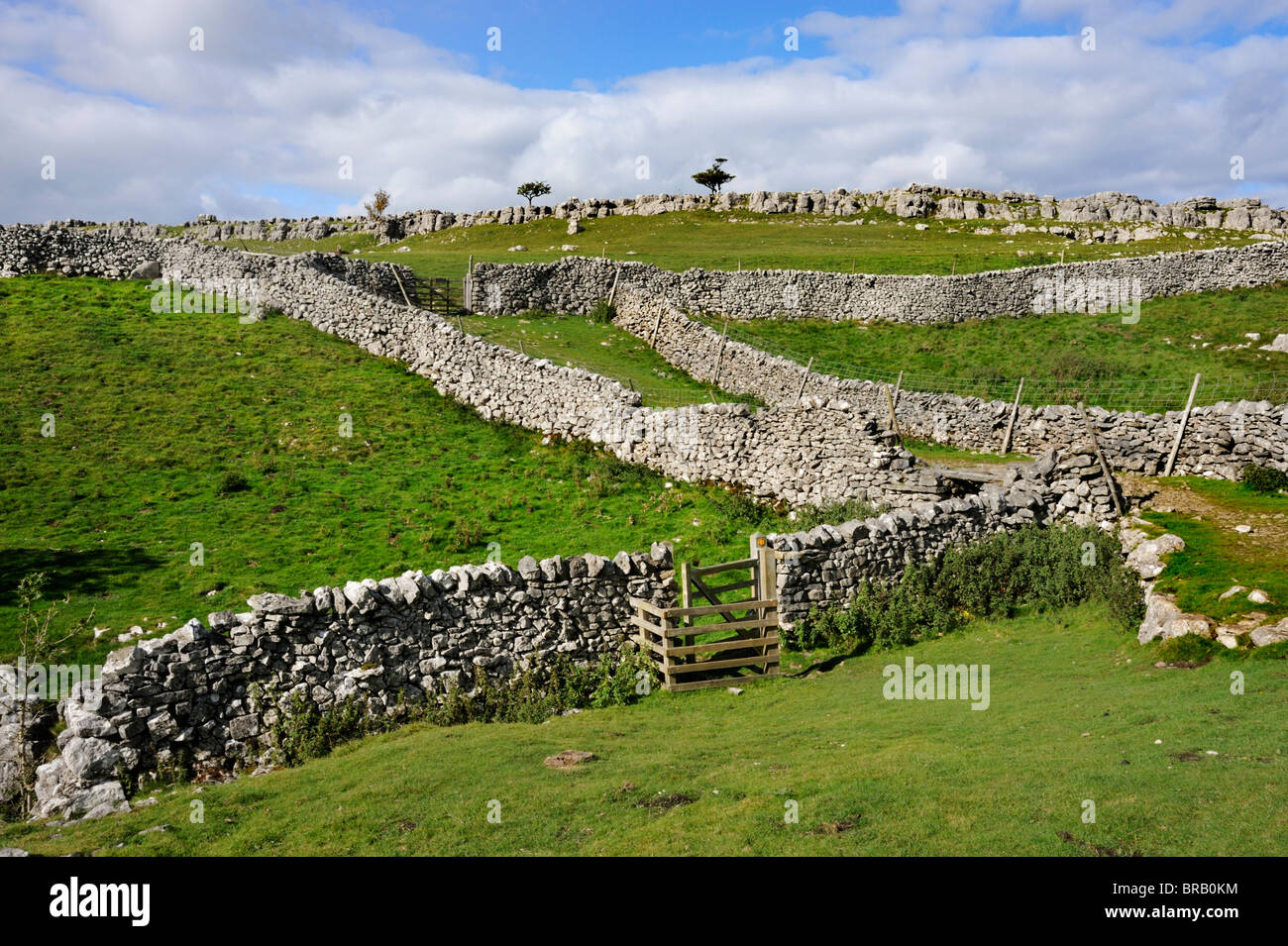 Stone walls and limestone crags at Conistone, Wharfedale, North Yorkshire, England Stock Photo