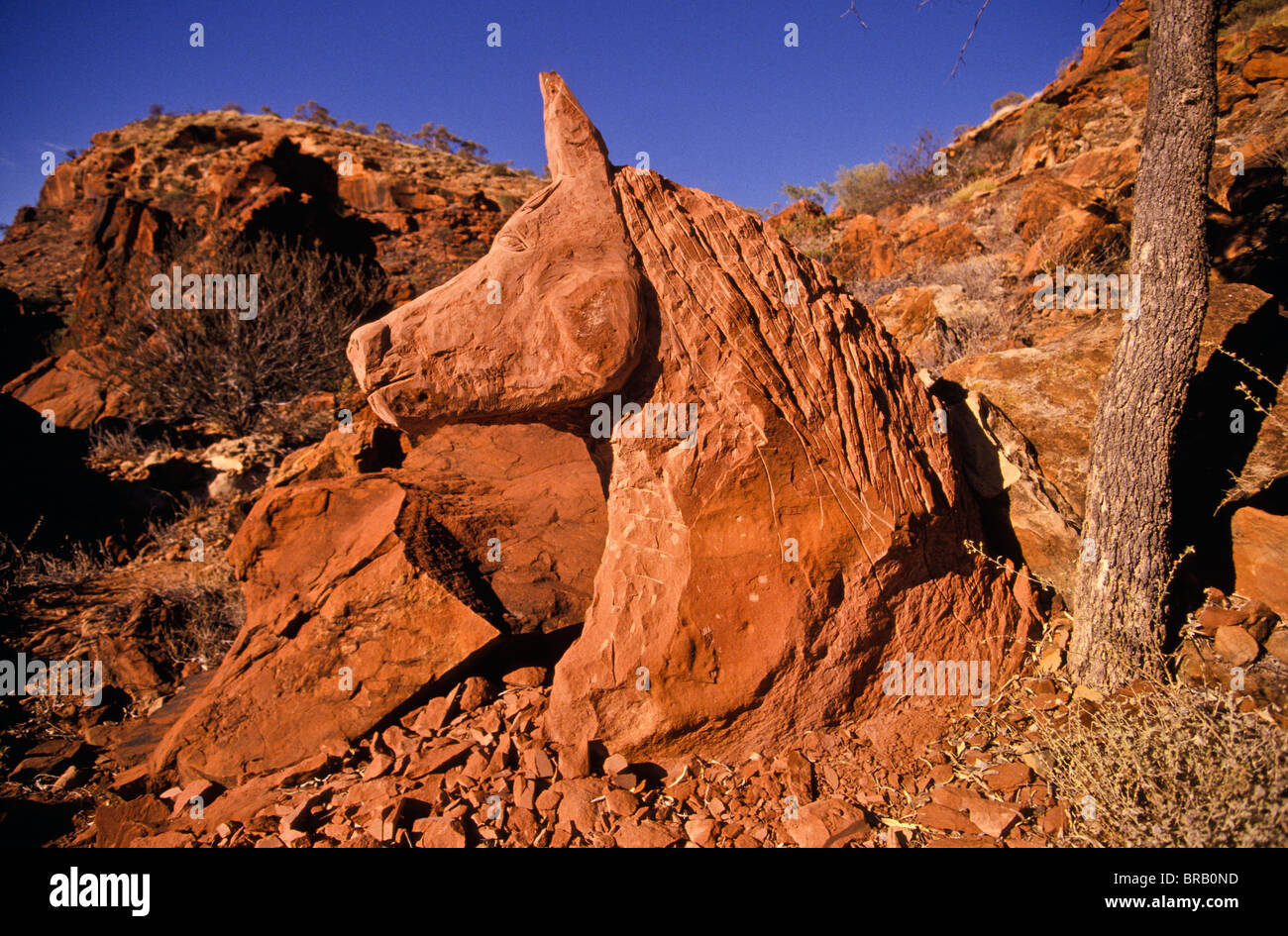 Stone sculpture, Ipolera Community, Central Australia Stock Photo Alamy