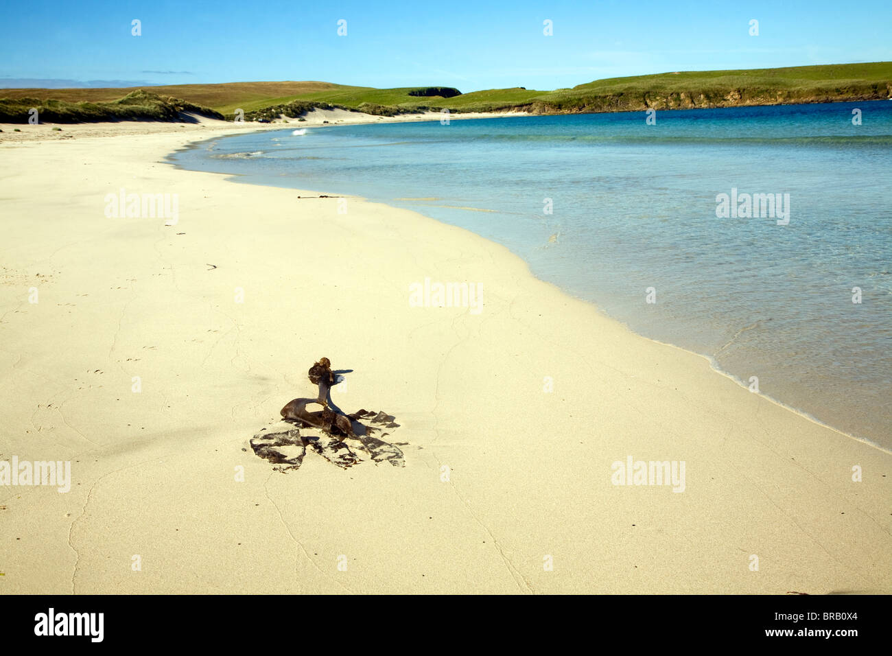 Sandy beach, Bay of Scousburgh, Shetland Islands, Scotland Stock Photo
