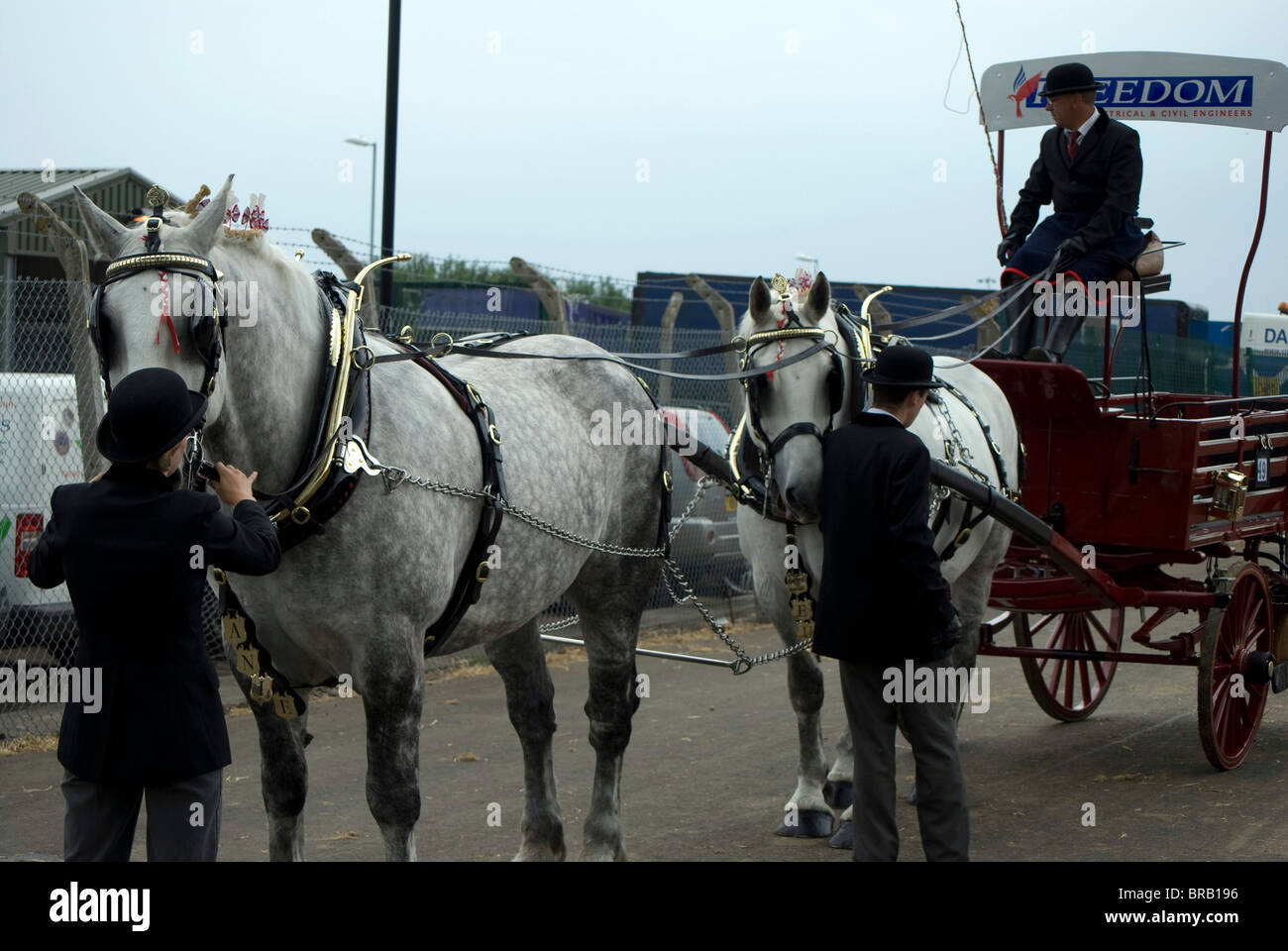 Royal highland show clydesdale horse hires stock photography and