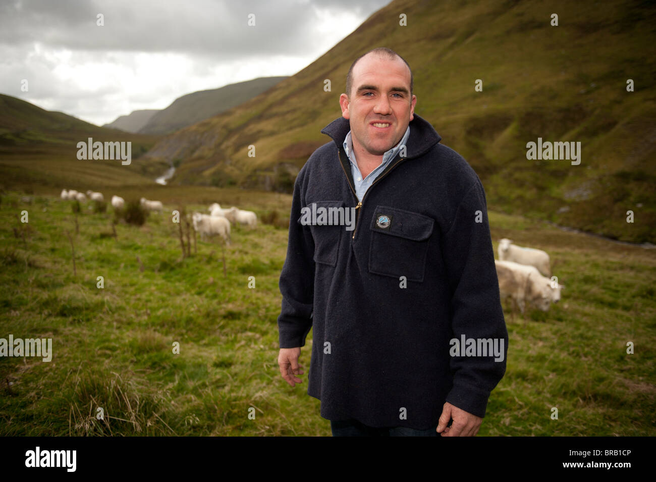 JAMES RAW of the Cambrian Mountain Lamb Producers Co-Operative group, Cwm Ystwyth, Ceredigion Mid Wales UK. Stock Photo