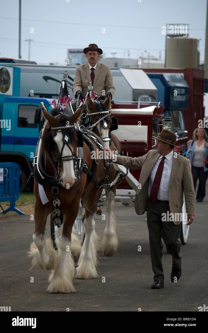 Heavy horse and trailer prior to a competition at the Royal Highland