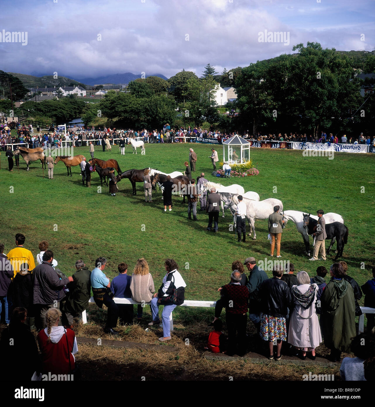 Co Galway, Ireland; Connemara Pony Show Stock Photo