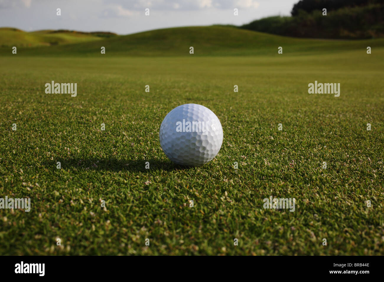 Golf Ball on Green Stock Photo Alamy