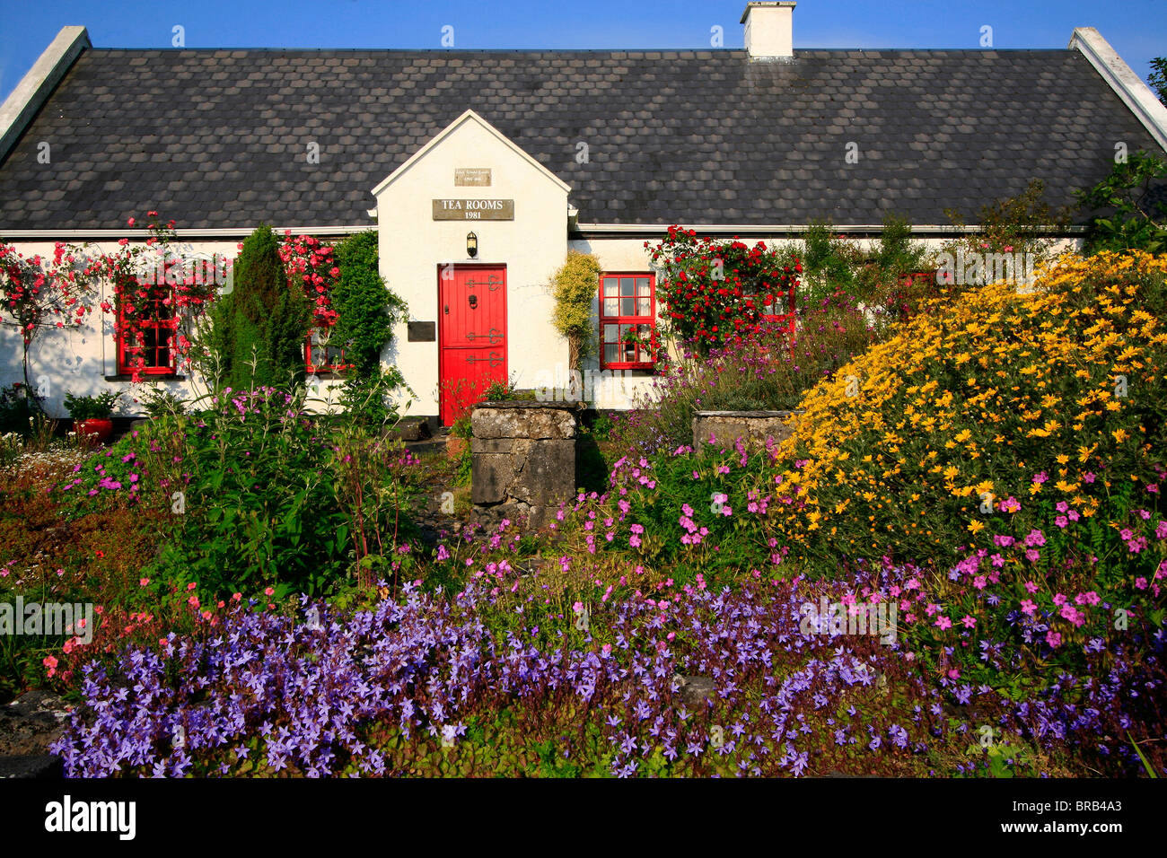 Ballyvaughan,Co Clare,Ireland;Tea Rooms In A Traditional Cottage,With