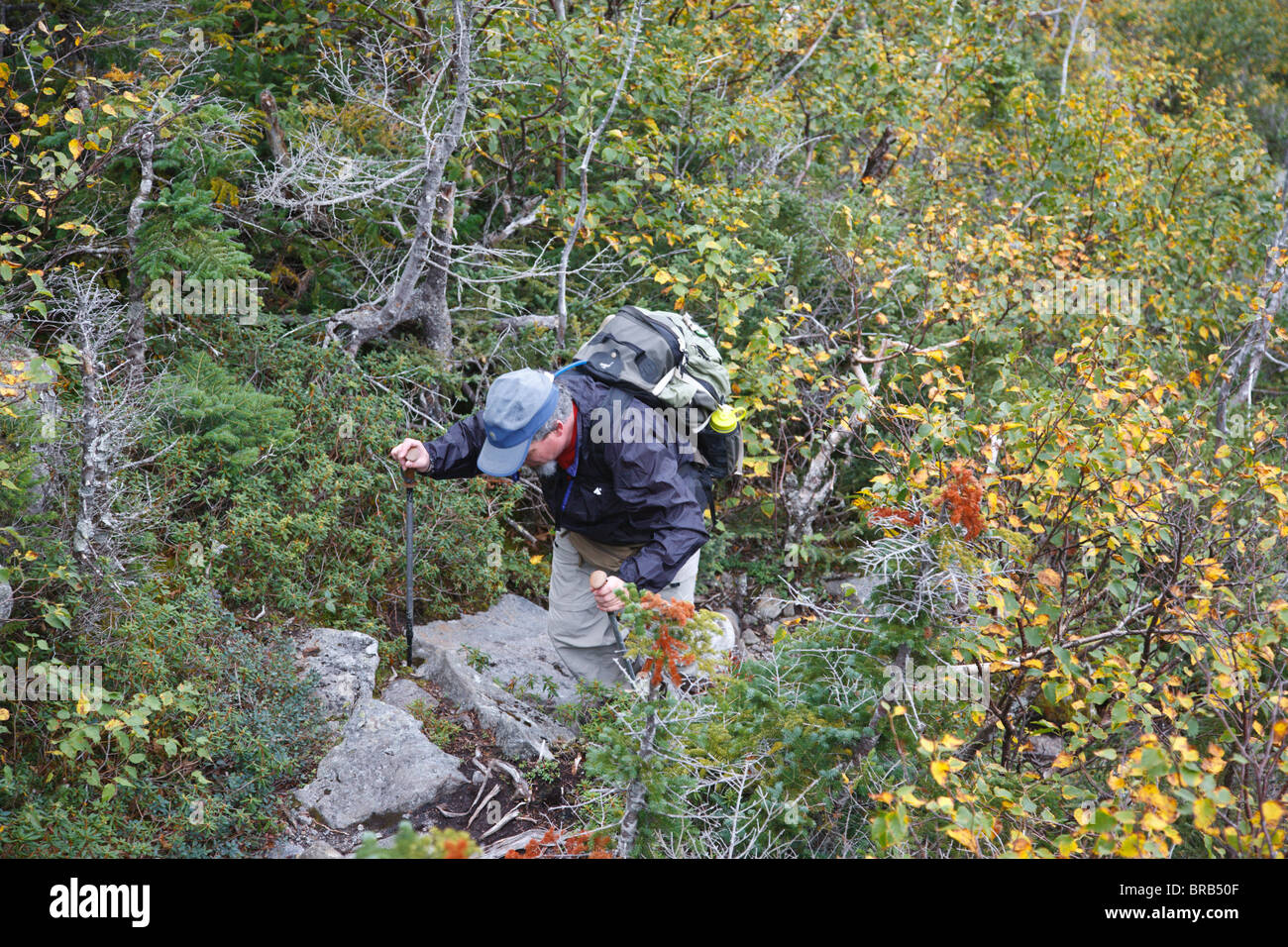 Male hiker ascending rocky trail hi-res stock photography and images ...