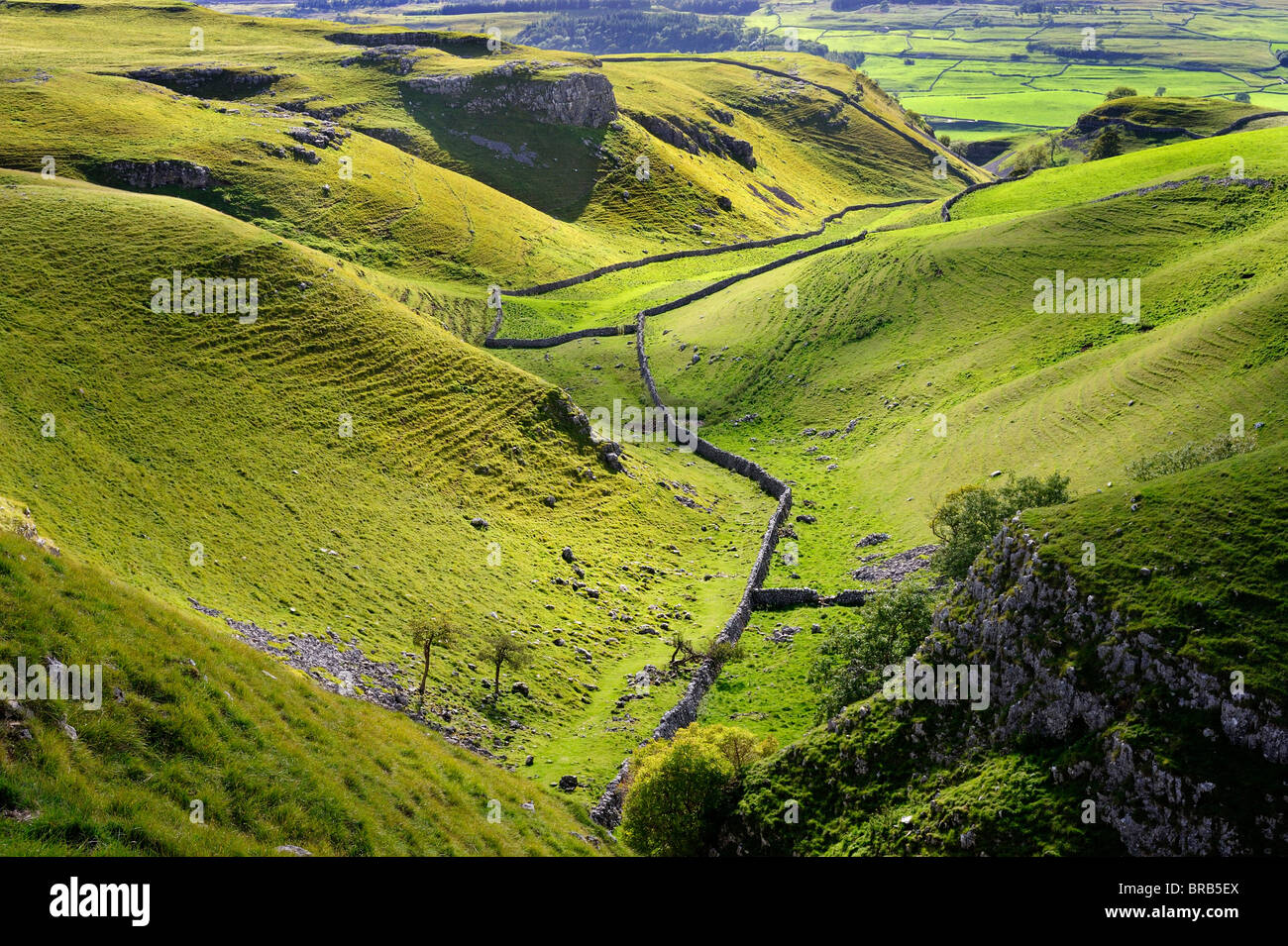 Limestone dale and crags at Conistone, Wharfdale, North Yorkshire