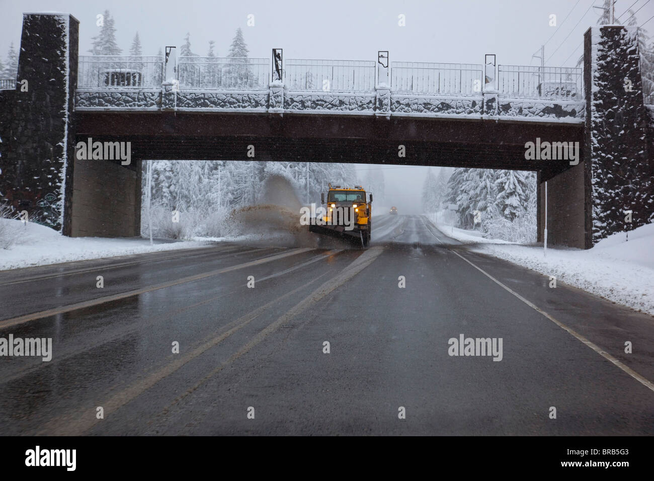 Spring Snow At Timberline On Mount Hood With A Snowplow On The Road; Oregon, United States Of America Stock Photo