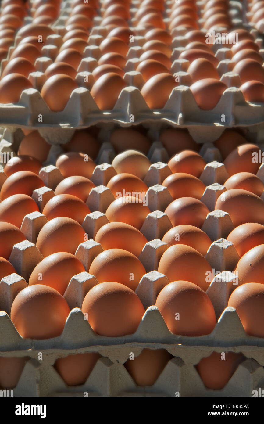 Dozens of eggs hires stock photography and images Alamy