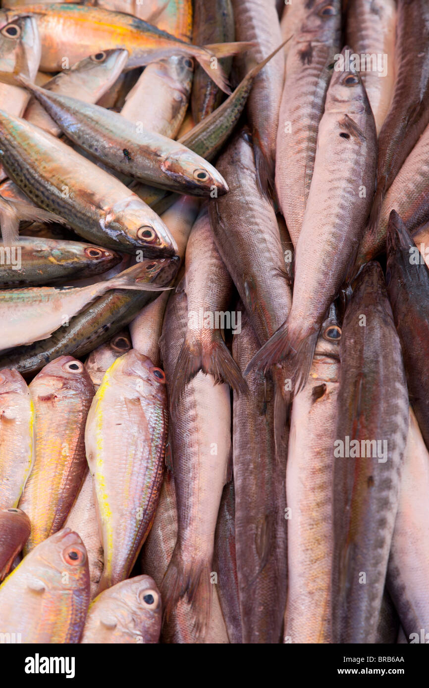 Fish for sale in the market at Kundasang, Sabah, Malaysian Borneo Stock Photo