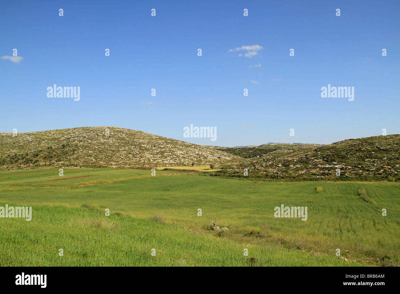 Fields nearTarkomia Stock Photo