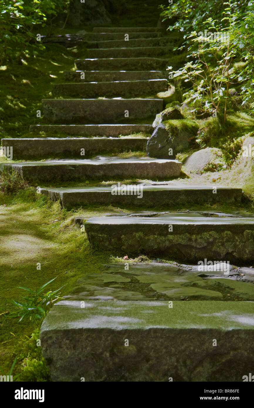 Step moss hi-res stock photography and images - Alamy