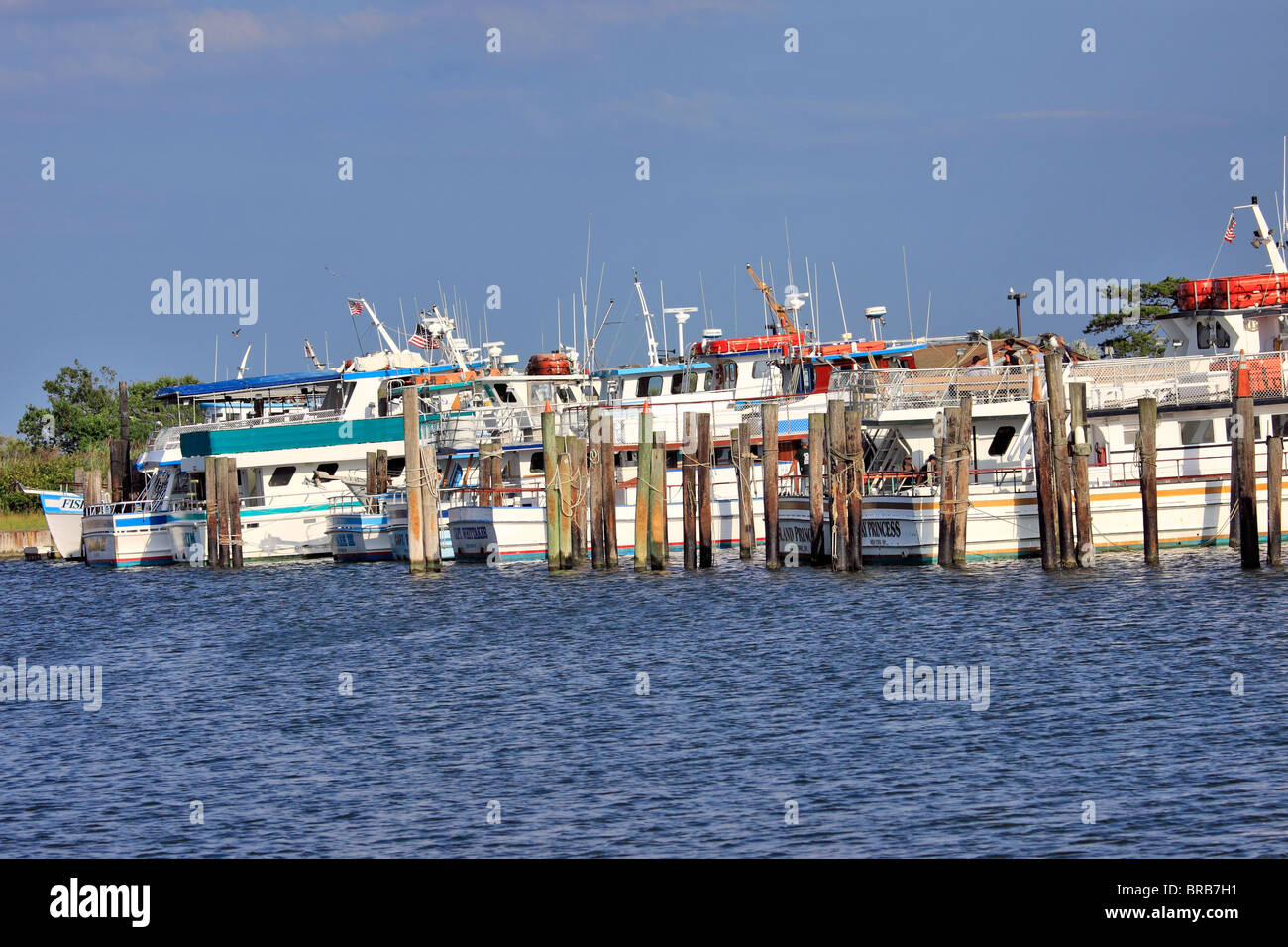 Charter fishing boat fleet Captree boat basin Long Island NY Stock