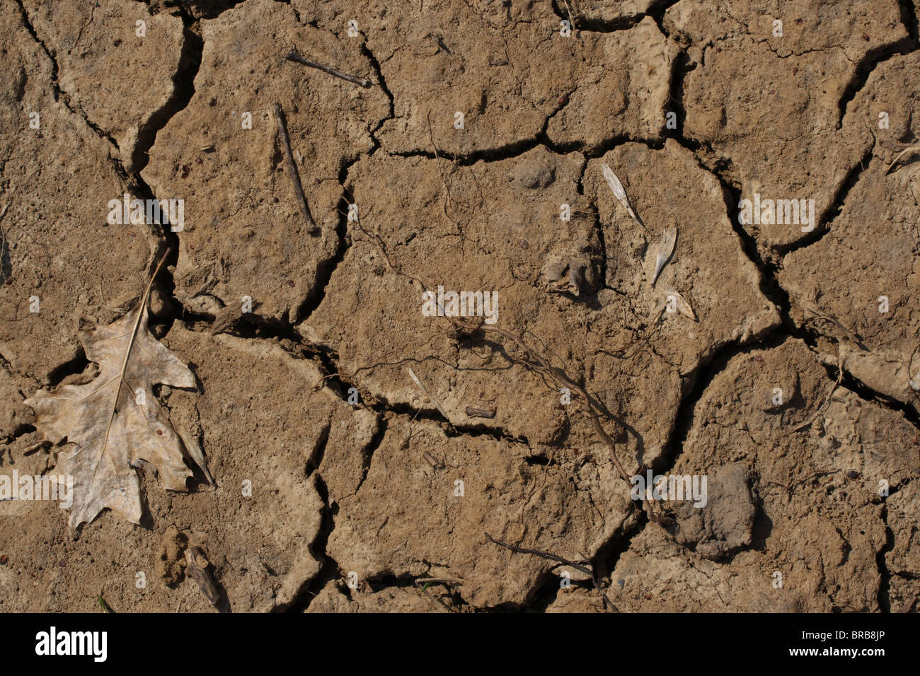 Dry Cracked Soil - Drought Stock Photo