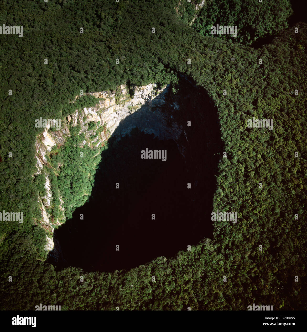 Aerial image of Sarisarinama Sinkhole, Jaua-Sarisarinama National Park, Tepuis, Bolivar State, Venezuela, South America Stock Photo