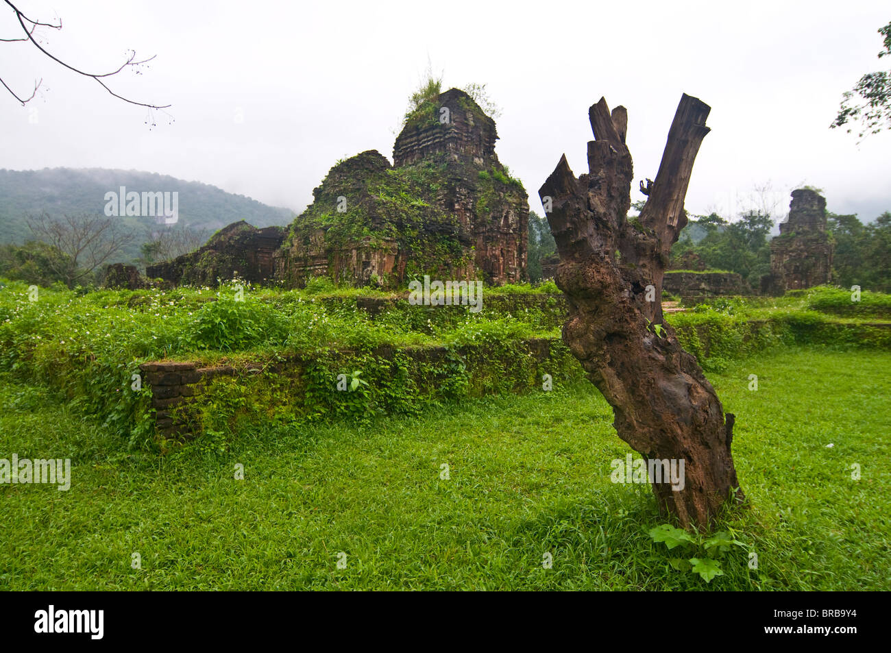 My Son Sanctuary, UNESCO World Heritage Site, Vietnam, Indochina, Southeast Asia, Asia Stock Photo