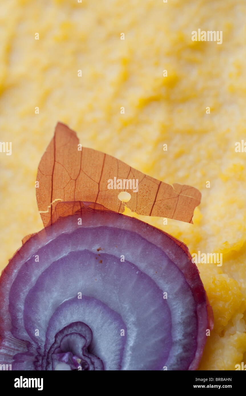 End of a red onion with onion skin attached resting on polenta. Stock Photo