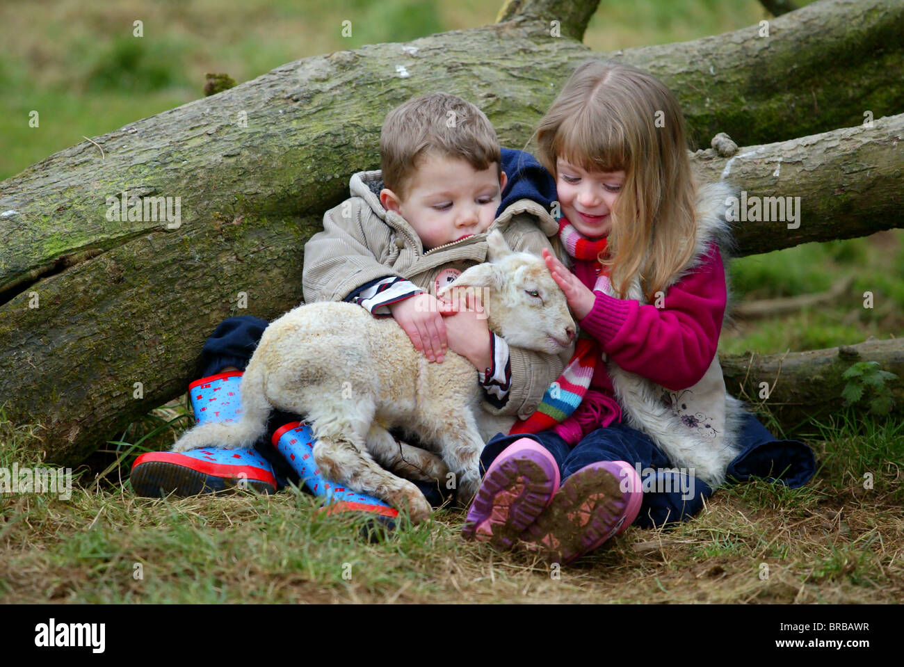 Young children meeting animals on a farm in Cornwall, UK. Stock Photo