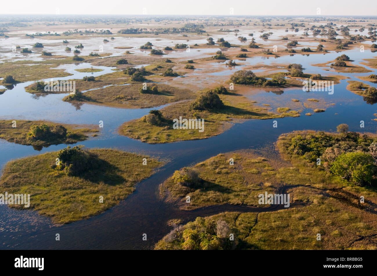 Aerial view of Okavango Delta, Botswana Stock Photo
