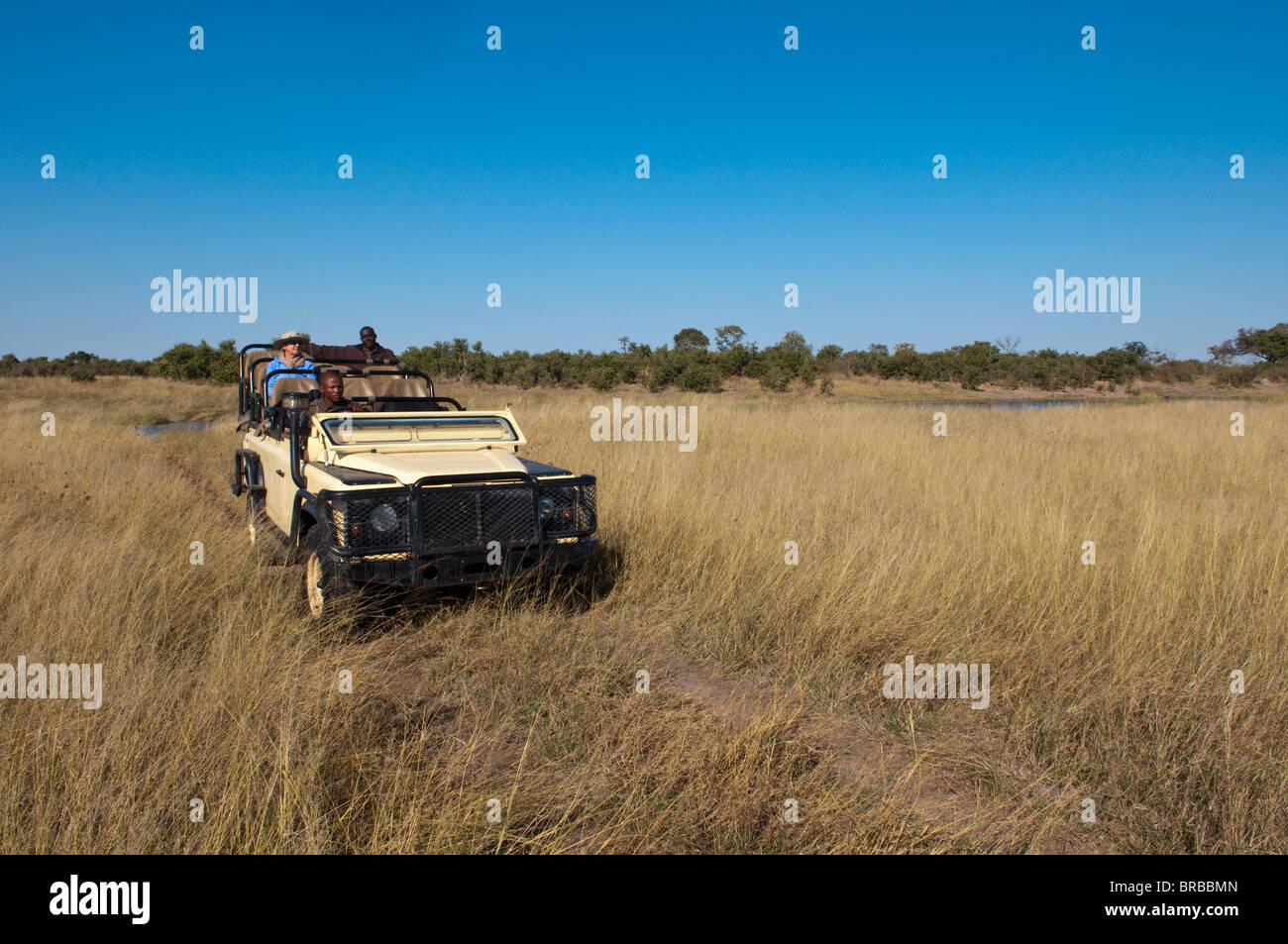 Savute Channel, Linyanti, Botswana Stock Photo