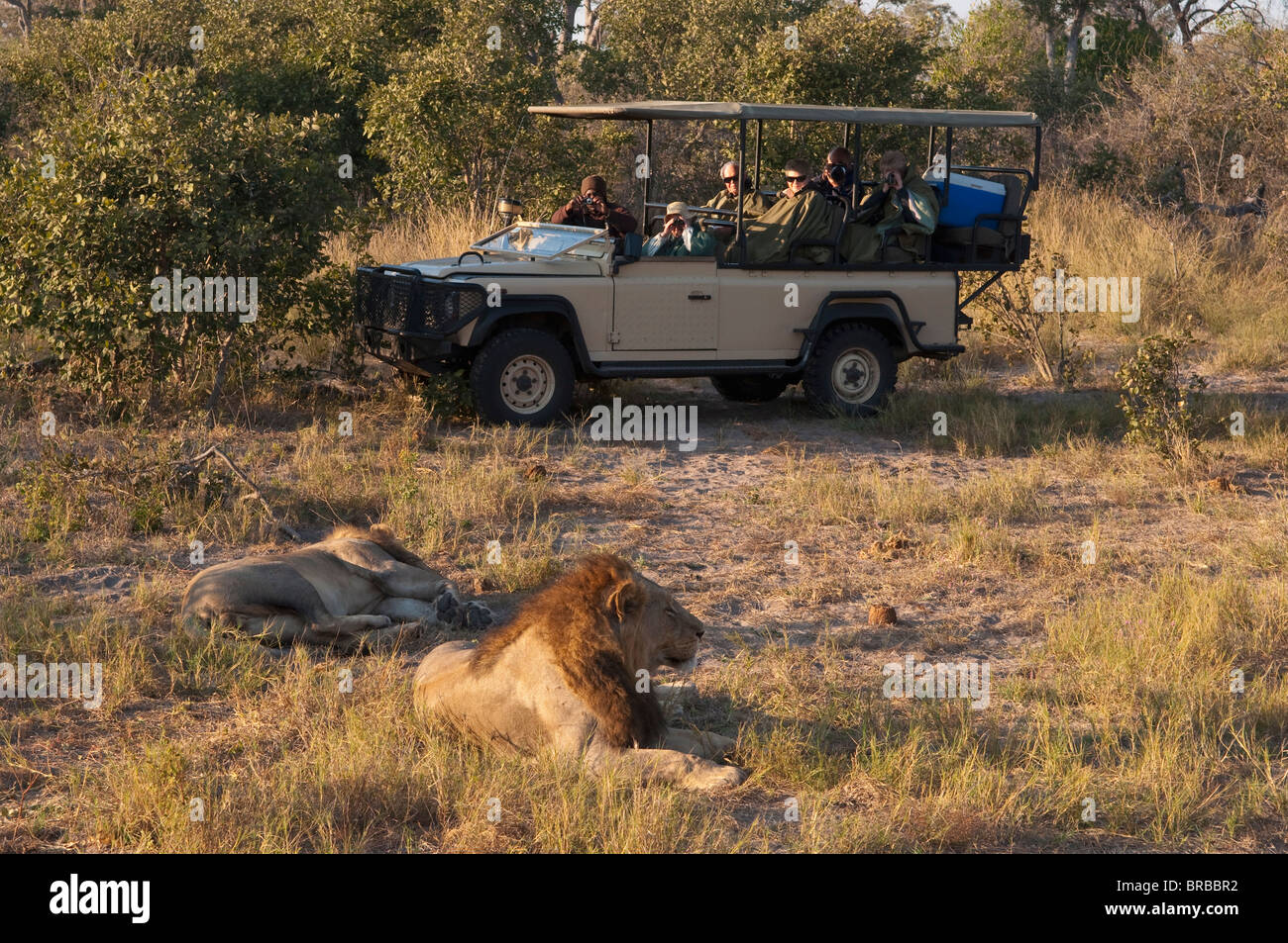 Savute Channel, Linyanti, Botswana Stock Photo