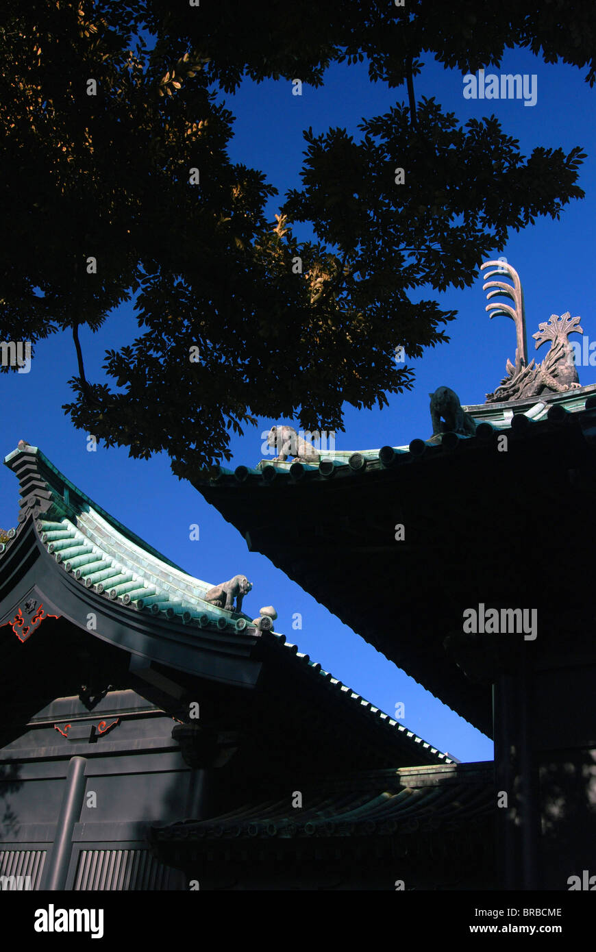 JAPAN Honshu Tokyo Stock Photo - Alamy