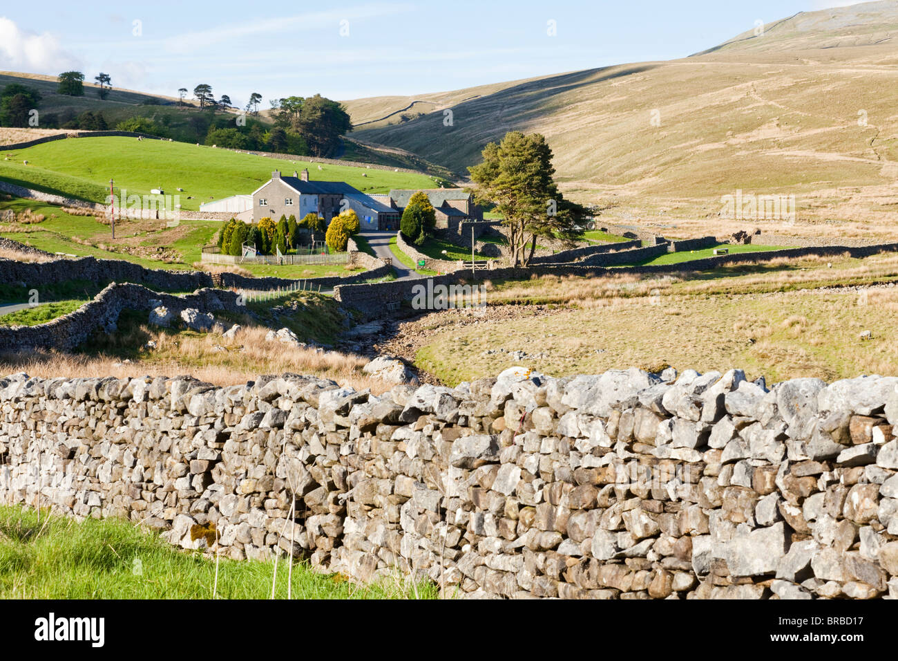 Kingsdale Head in Kingsdale in the Yorkshire Dales National Park, north