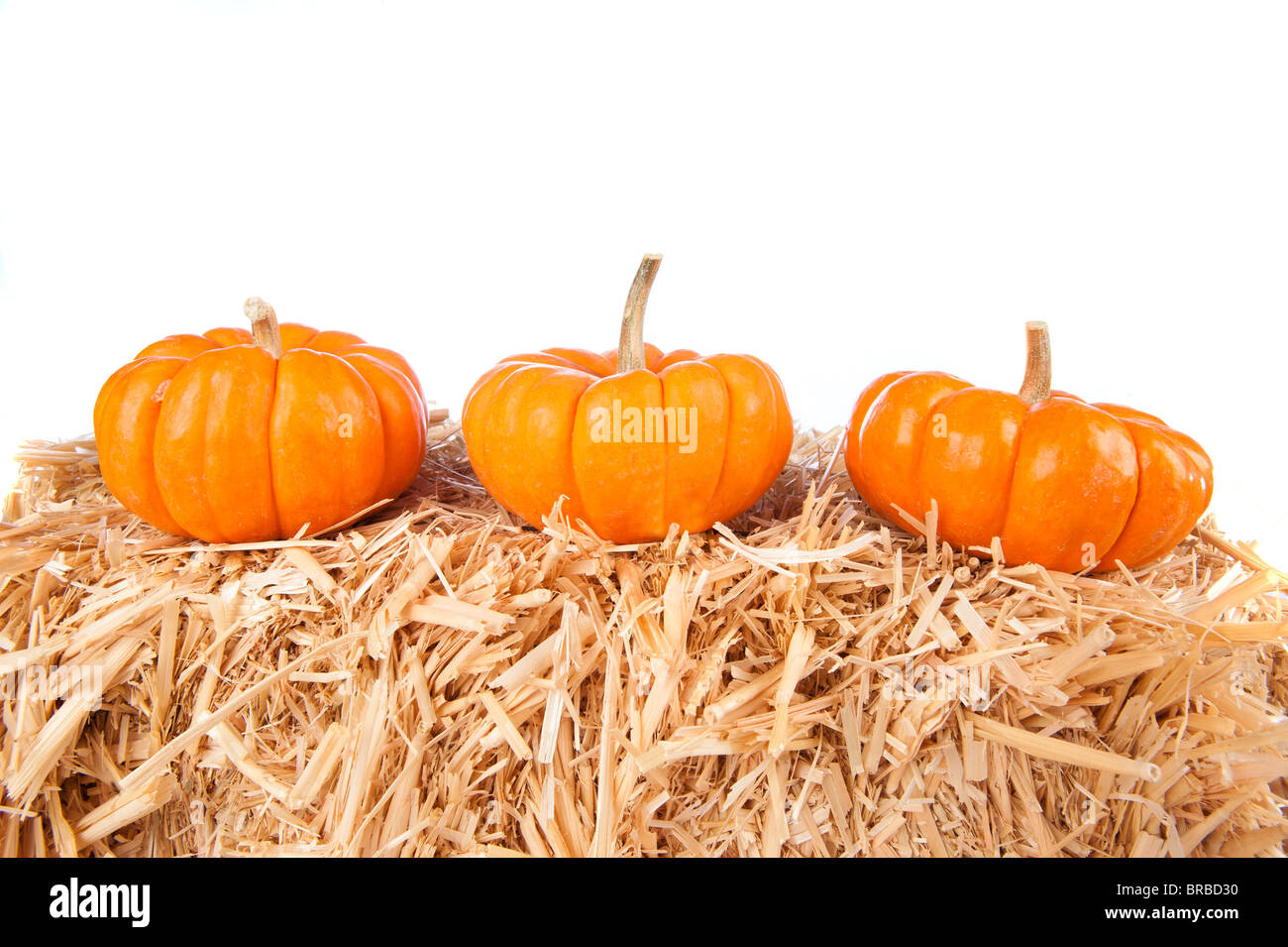Three pumpkins on a haystack with white background for copy. Stock Photo