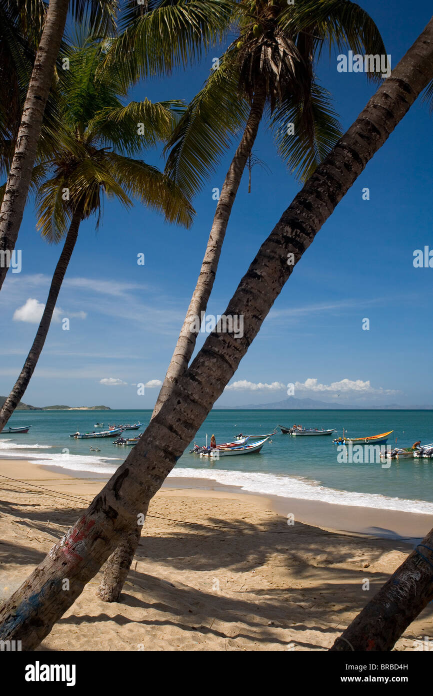 VENEZUELA Margarita Island Playa la Galera Stock Photo Alamy