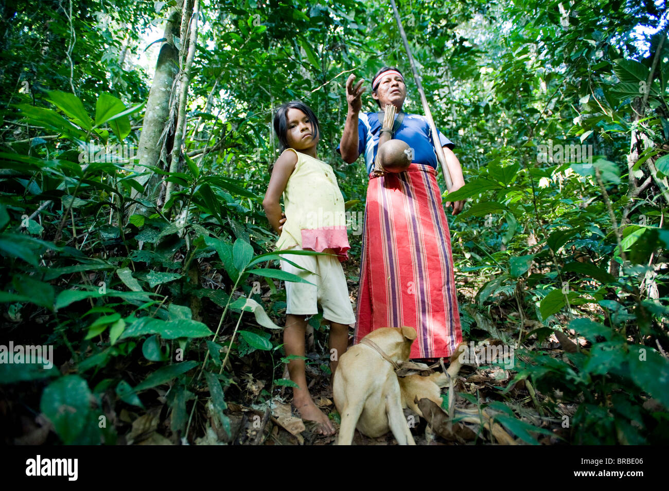 An Achuar man demonstrates using a blowgun, Amazon, Ecuador Stock Photo