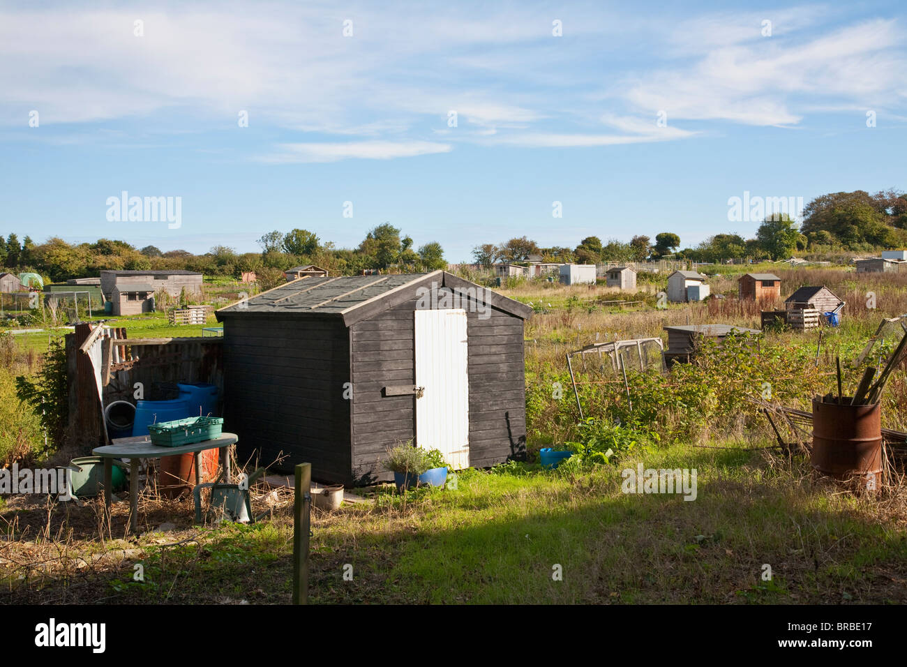 Allotments garden High Resolution Stock Photography and Images - Alamy