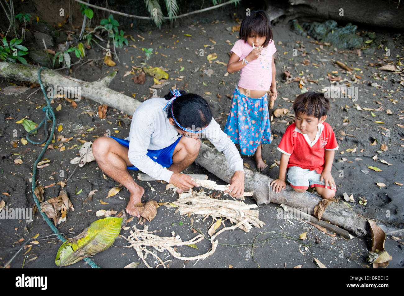 Preparing the barbasco root to go fishing, Amazon, Ecuador Stock Photo