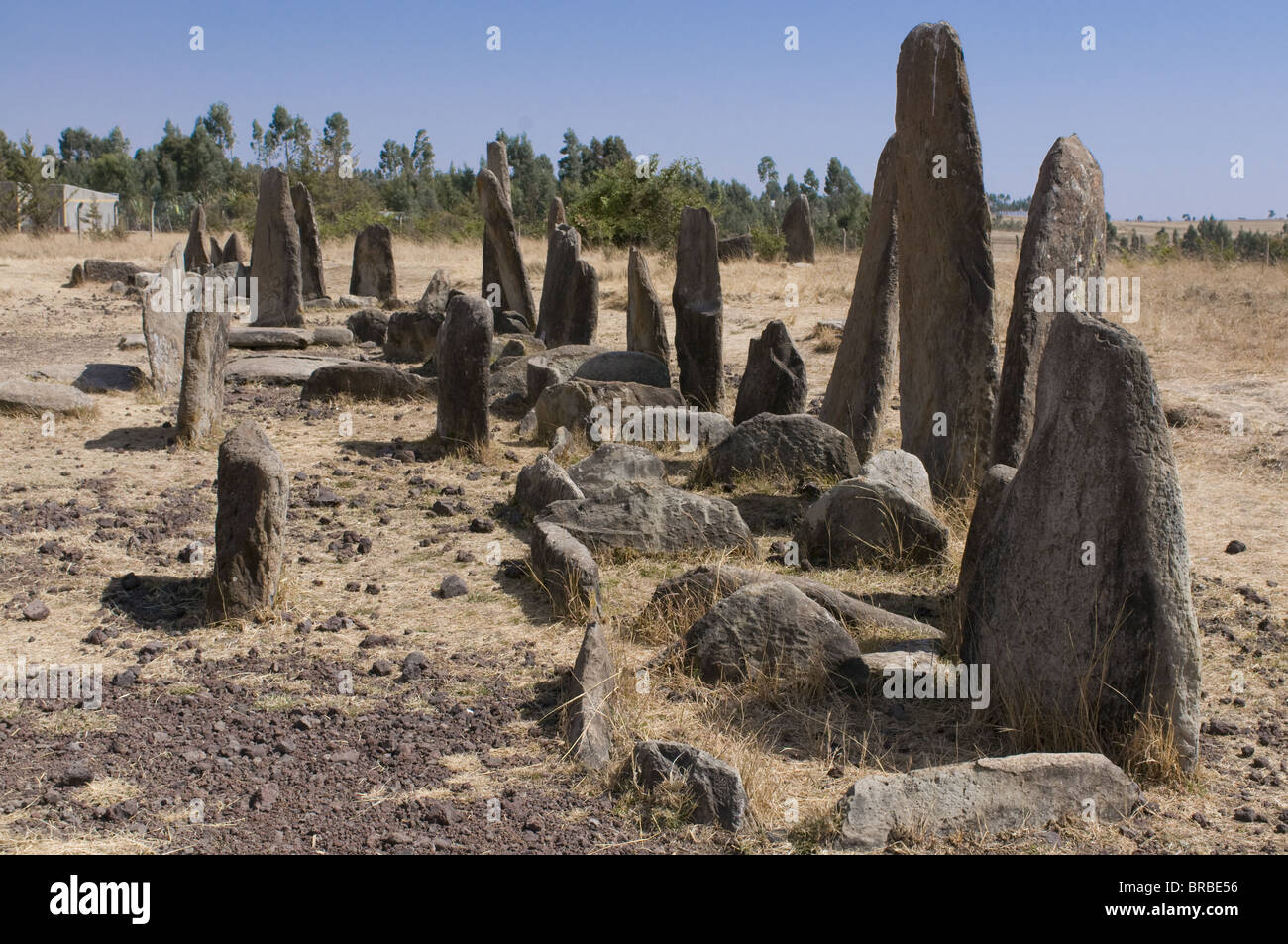 Stone pillars of Tiya, UNESCO World Heritage Site, Ethiopia Stock Photo