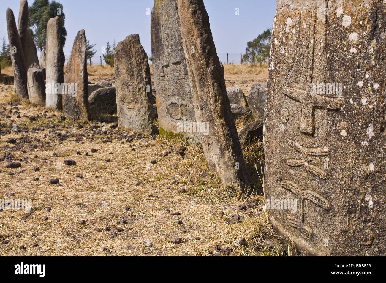 Stone pillars of Tiya, UNESCO World Heritage Site, Ethiopia Stock Photo